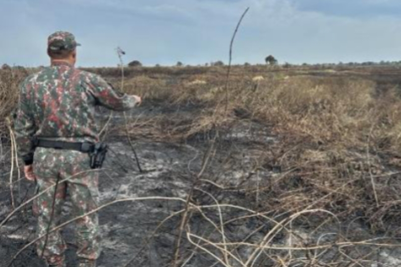 Focos de incêndio explodem no Pantanal e Cerrado e têm maior nº desde 1998