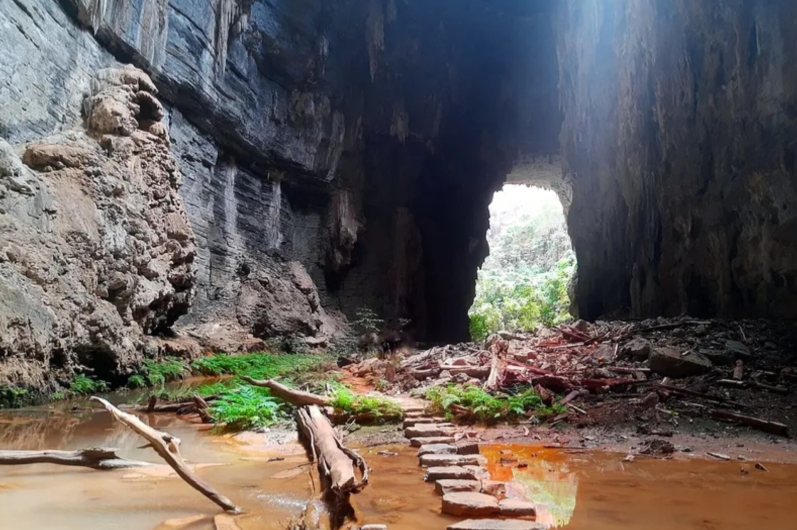 Cerrado vive seca sem precedentes em mais de 700 anos