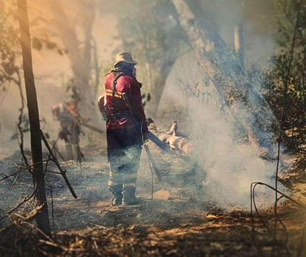 MS declara emergência em municípios atingidos por incêndios florestais