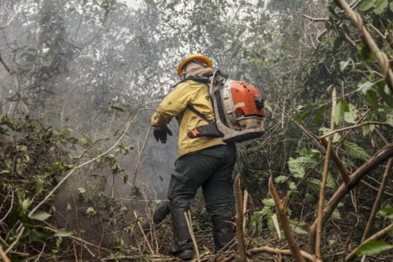 Bahia aparece em 2º no número de focos de queimadas no Nordeste