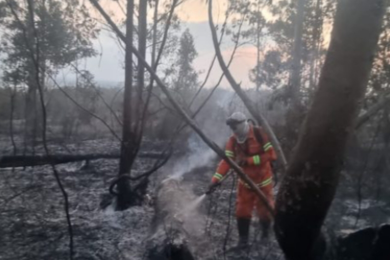 Vitória da Conquista teve cinco incêndios florestais na quarta-feira