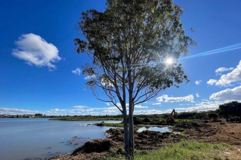 Aparição de jacaré evidencia sucesso no processo de limpeza e revitalização da Lagoa das Bateias