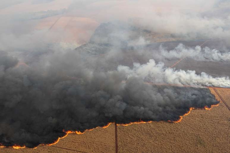 Número de incêndios bate recorde dos últimos 26 anos em SP