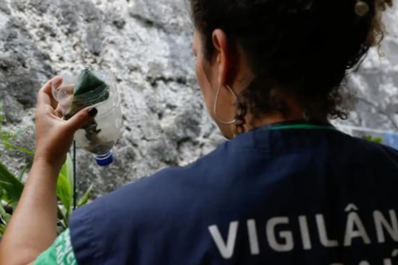 Bahia registra 138 mortes por dengue; Vit.Conquista lidera número de casos