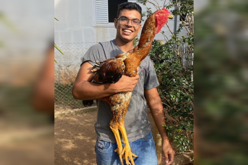 Morador do interior de SP lucra com criação de ‘galinhas gigantes’